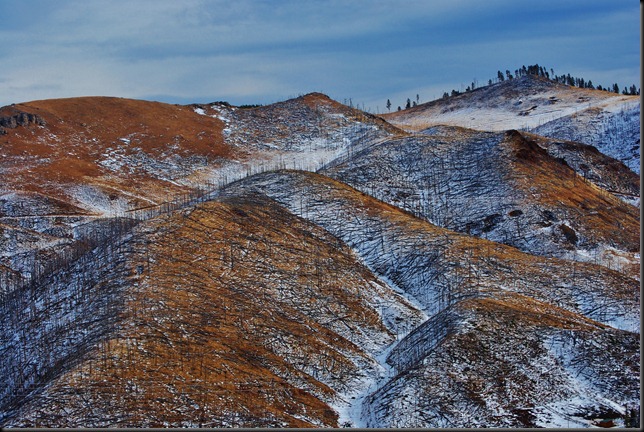 It was a scary time for Deadwood,  The Grizzly Gulch Fire threated to burn the Historic City