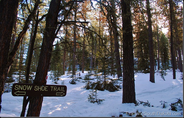 Snowshoe at Eagle Cliff Trails