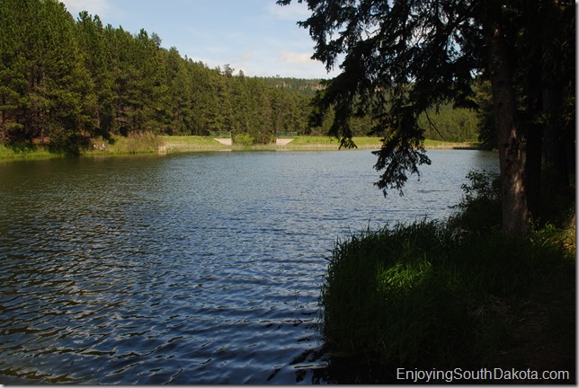 photo of south dakota's dalton lake in the black hills