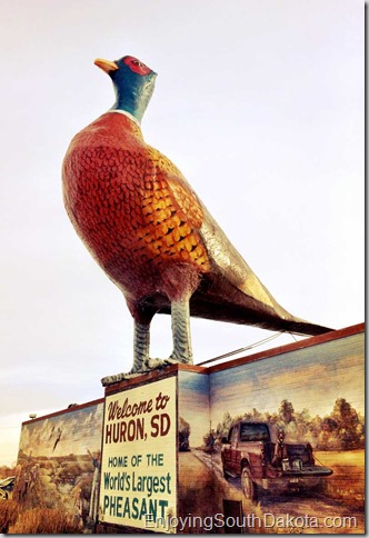 Huron sd has the worlds largest pheasant be sure to see it