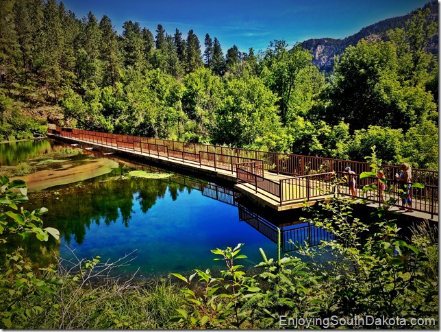 stop at the pond along roughlock falls nature trail