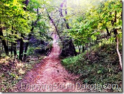 small bridge along the chalk bluff trail south dakota