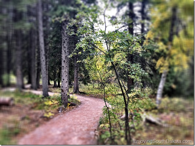 Spearfish Falls Hiking Trail check out