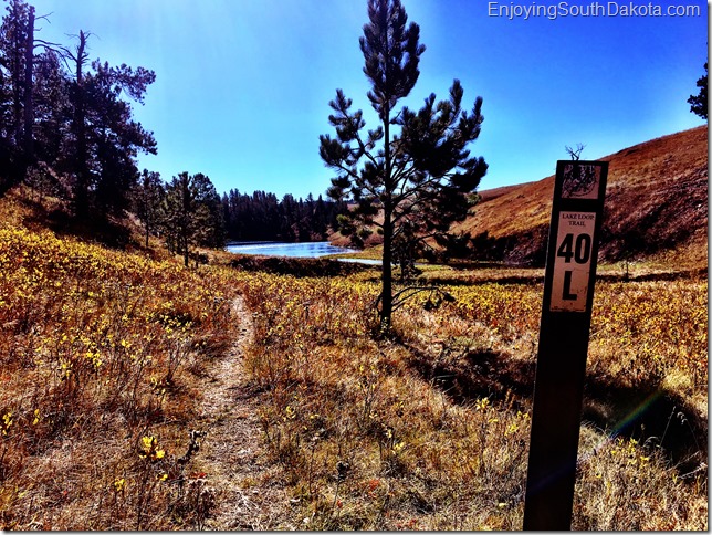 Trail 40 Deerfield Lake Loop